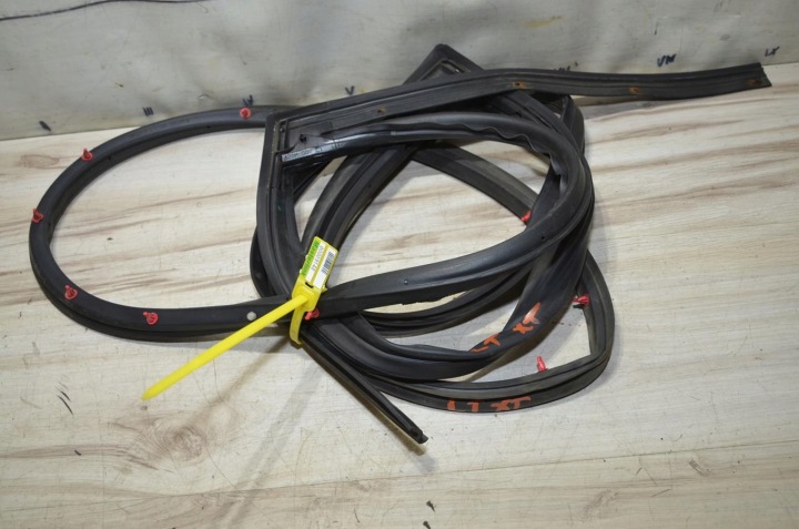 Joint Portière zewn Gauche Arrière Nissan X-Trail t31