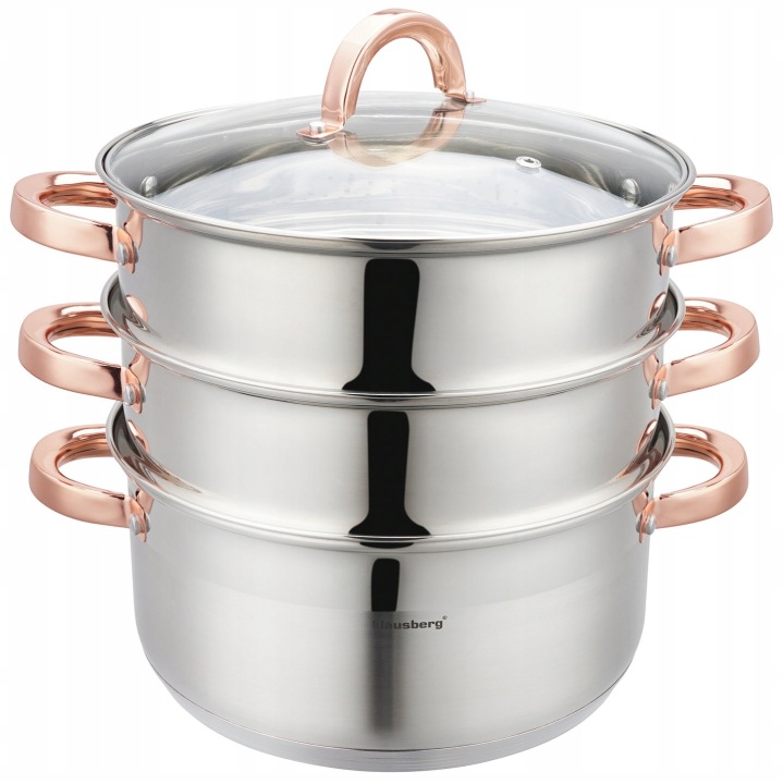 Hrnec 5 L vaření V Páře, indukční hrnec z nerezové oceli 2 Vložky 24 cm