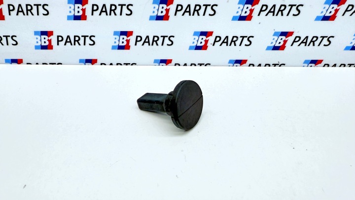 BMW F30 F31 F20 F21 Halter KOLEK Halter des Kühlers 7596922 7609930