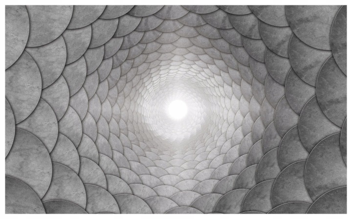 Fototapeta Tunel Perspektiva Iluze Šedá Monochromatický 312x219 lepidlo