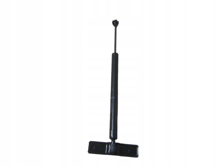 BMW 7 F01 F02 Dämpfer Türfeststeller Türstopper Tür PRZEDNICH PRAWYCH 51217177616