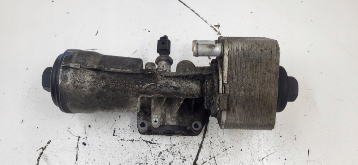 2010 Audi A6 S6 C6 4F Base oil filter 038117VWH 6