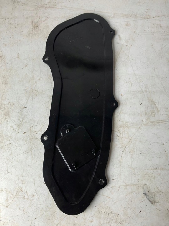 Copri copertura GREMBIALINA PORTA Portiera Destra posteriore TESLA MODEL S 1067943-00