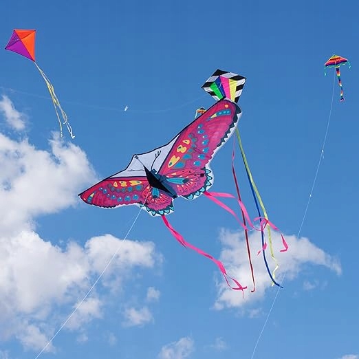 Повітряний змій Butterfly Aihomego для дітей і дорослих для хлопчиків і дівчат — фото 3