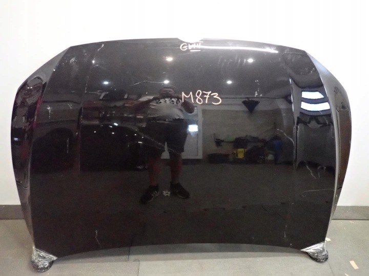 CAPOT VW GOLF VIII 2020- 5H