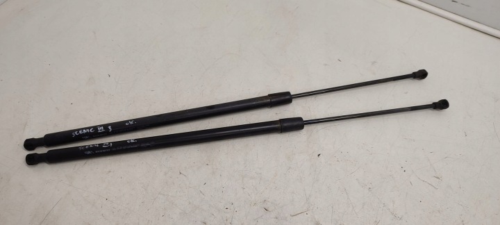 PISTONI PORTELLONE telescopico del cofano Renault Grand Scenic III 2,0 DCI