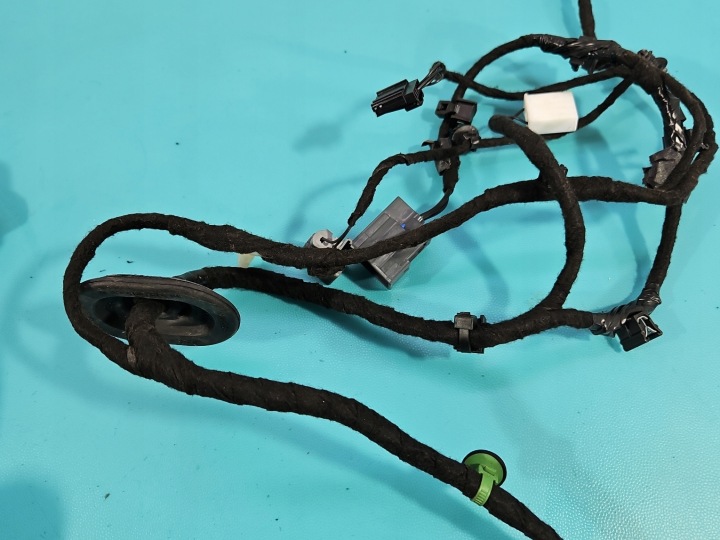 ARNÉS DE PUERTA TRASERA IZQUIERDA FORD FOCUS MK4 JX6R-14633 A13590355 9