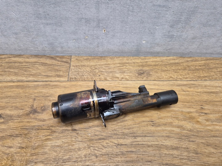 BMW N55 N20 N26 Essence Vérins de coffre hayon Régulateur VALVETRONIC WALKA 7603979