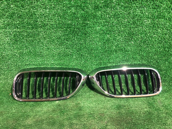 Grill Grill salberk Nieren rechts links KOMPLET BMW 5 G30 G31