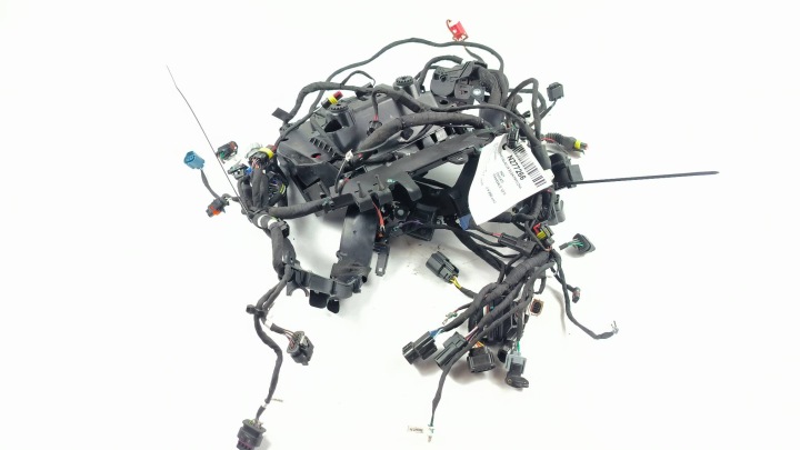 Kabelbaum elektrisch 5101L342F/1 DUCATI PANIGALE V2 S