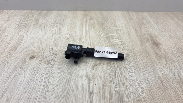 Bobine d’allumage 4.0 V8 JAGUAR S-TYPE XW4U-12A366-BB PAK21/685WZ
