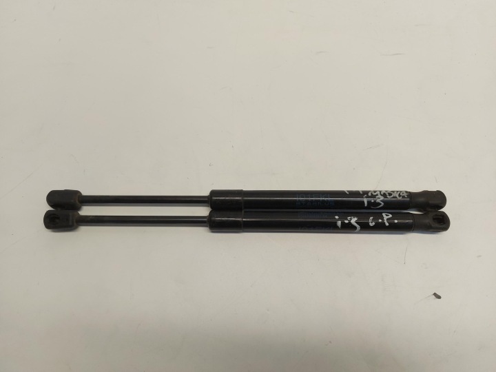 BMW i3 i01 REX PISTONI PORTELLONE del cofano sinistra Destra komplet 7299161
