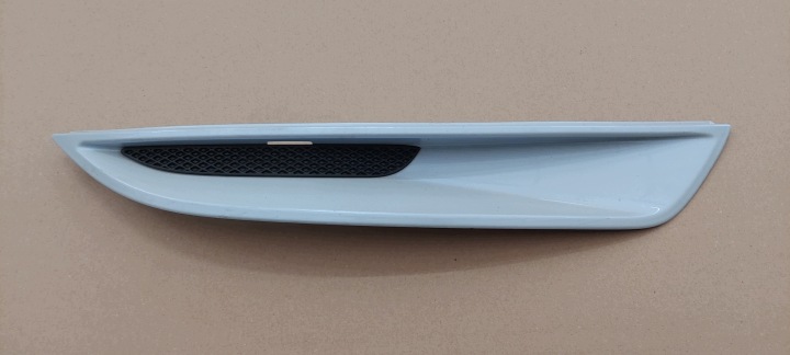 leiste schutzleiste unter LAMPE rechts FORD KUGA MK1 08-12 LAK: B8 8V4115A281A