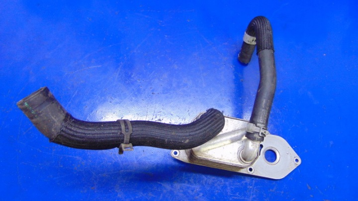 Motor Ölkühler KK2Q-6A642-CB 2.0TDCI FORD TRANSIT MK8 12-26R