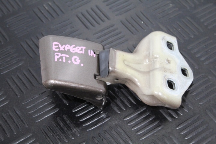 hinge door right rear part upper TRAVELLER EXPERT III 3 9820031980