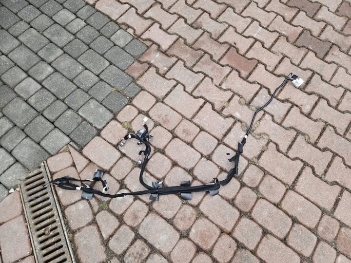 Câblage Câblage Ciel de toit Plafonnier toit Renault ZOE 241607143R