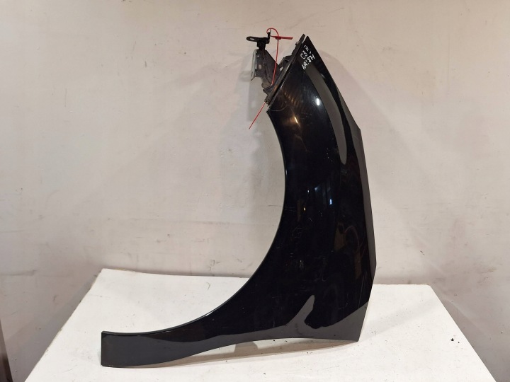 fender front left CITROEN C3 II DS3 09