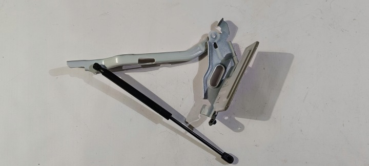 Cerniera del cofano pokrywy Motore PISTONI PORTELLONE sinistra Ford F150 F-150 2015