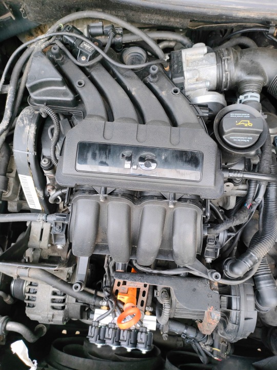 Motore completo BSE VW AUDI SKODA SEAT 1.6 BSF BFQ benzina nuovo distribuzione