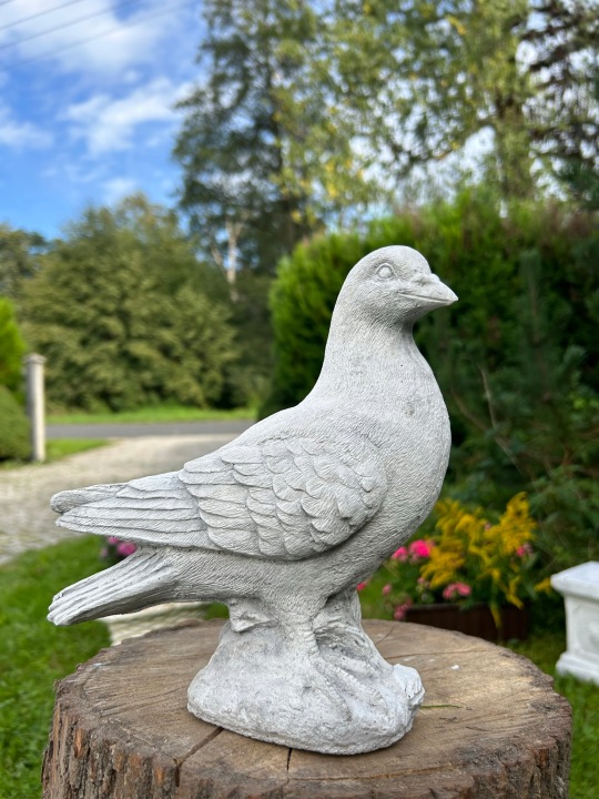 Betonová Zahradní Figura Holub 3 kg 24 cm odolná vůči povětrnostním vlivům