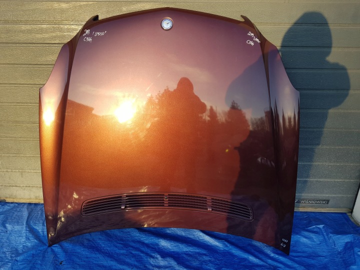 Motorhaube Fronthaube MERCEDES CLS W219 544 C544
