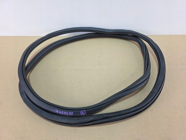guarnizione PORTA Portiera Destro sinistra Anteriore BMW X5 G05 LCI 7428678