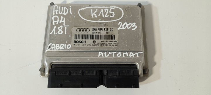 Audi A4 S4 B6 8E 8H Centralina Motore 8E0909518AK (K125)