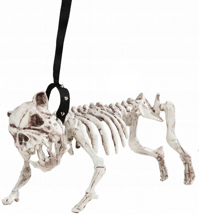 Kostra na Halloween, pes s lanem, 45 cm