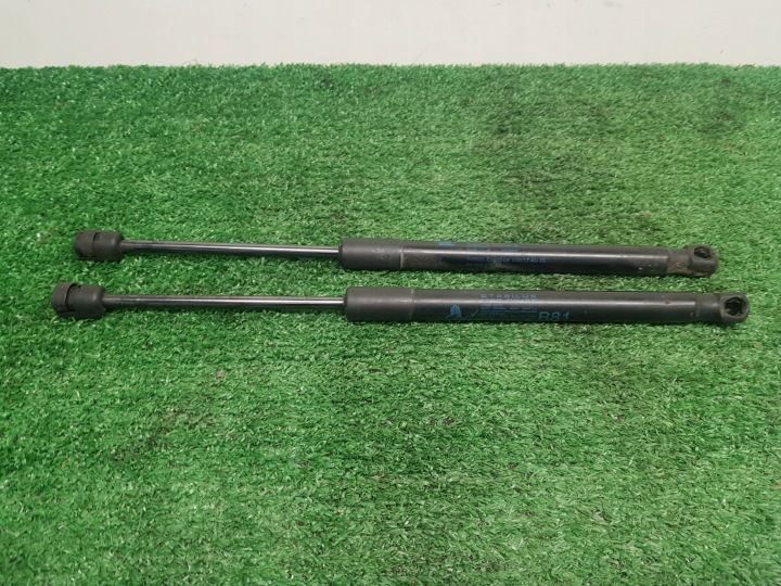 TELESKOPY del cofano posteriore CITROEN DS-5 9686809680