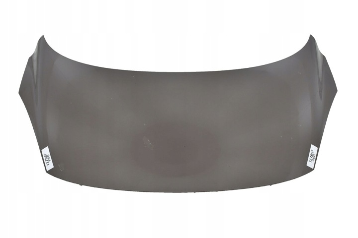 Cofano RENAULT SCENIC III 3