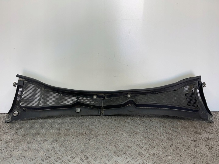 Griglia gocciolatoio Citroen C4 Cactus 14