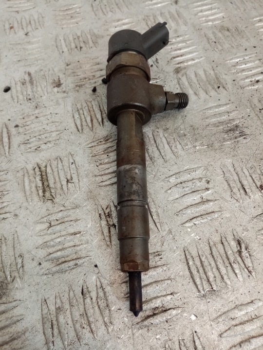 nozzle injector FIAT PUNTO 2 0445110019
