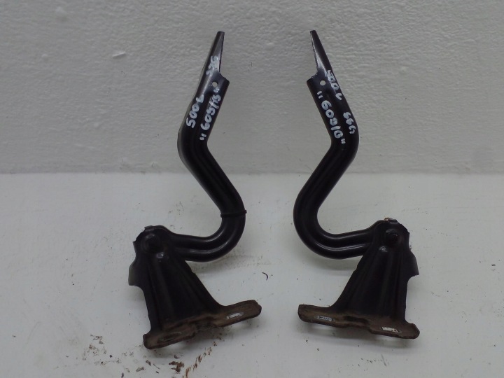 Scharniere der Motorhaube FIAT 500L 609/B 12-22