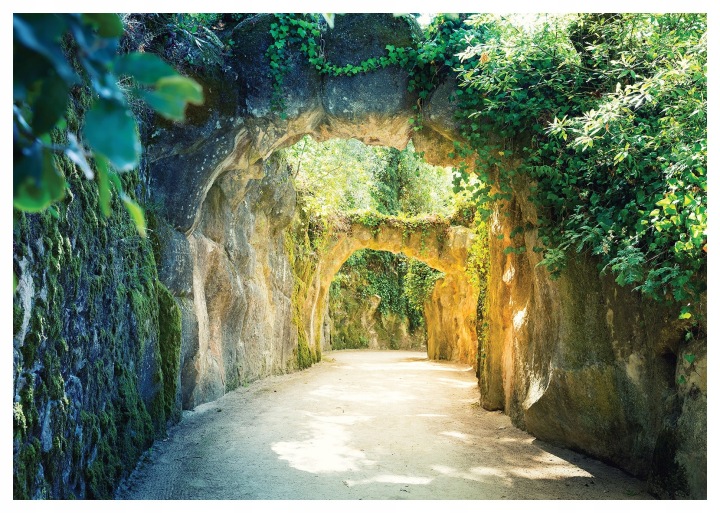 Fototapeta Flizelina Kamenný tunel Zelená chodba do lesa 312x219 lepidlo