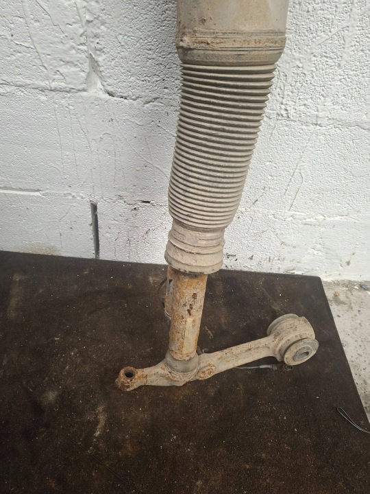 Pneumatic shock absorber Mercedes-Benz S W220 12