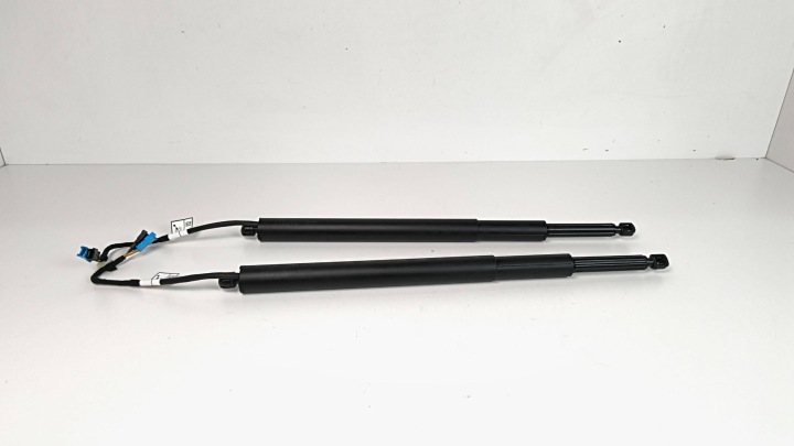 BMW 5 G30 G31 G38 7390410 Silowniki del cofano PORTELLONE COFANO POSTERIORE