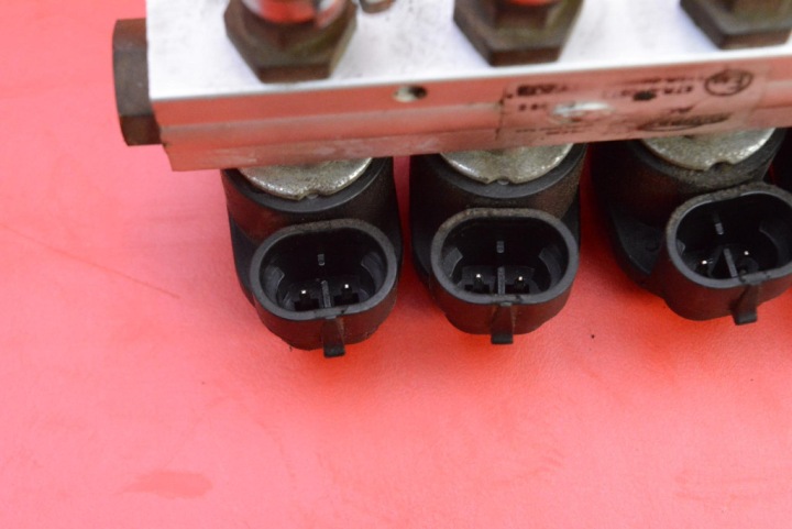 PFLANZLICHE LINIEN VON 67R-010973 LPG 7