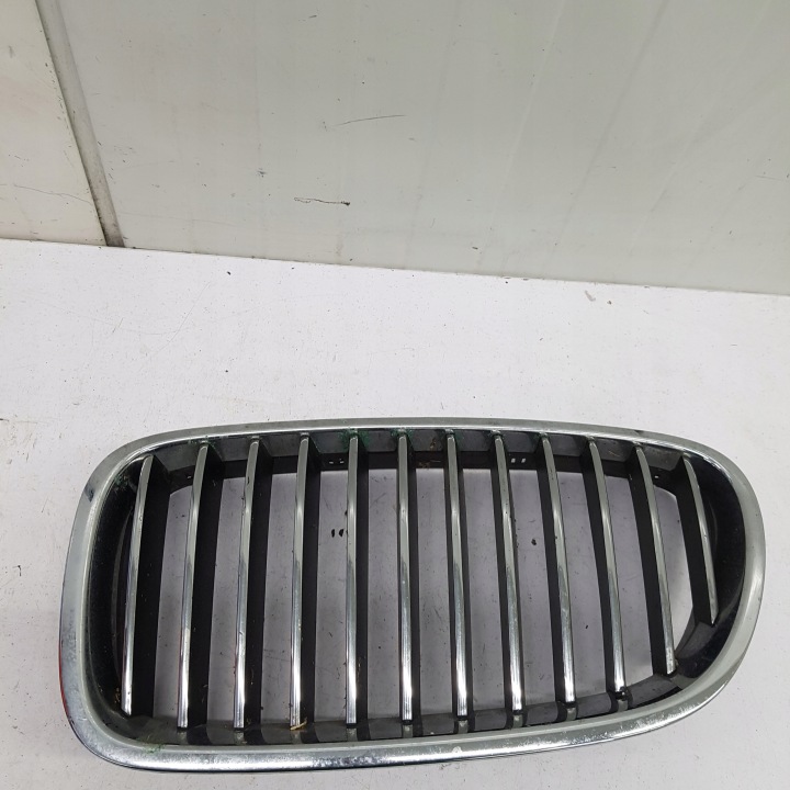 griglia Paraurti sinistra BMW F10 51137200727