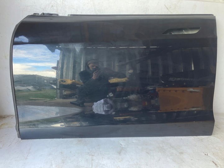 door left front TESLA MODEL S PMBL