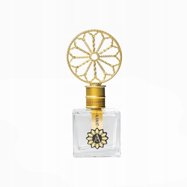 angela ciampagna kanat