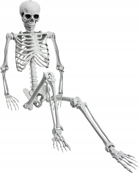 Kostra Člověka Kostra Kostlivec Lebka Dekorace Halloween 165 cm