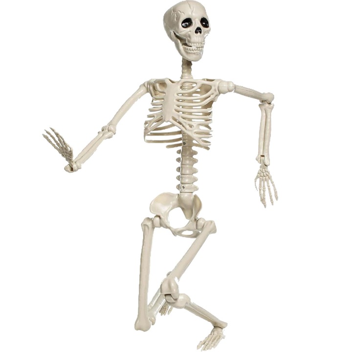 Dekorace Halloween Kostra člověka Kostlivec Pohyblivá Lebka 94 Cm
