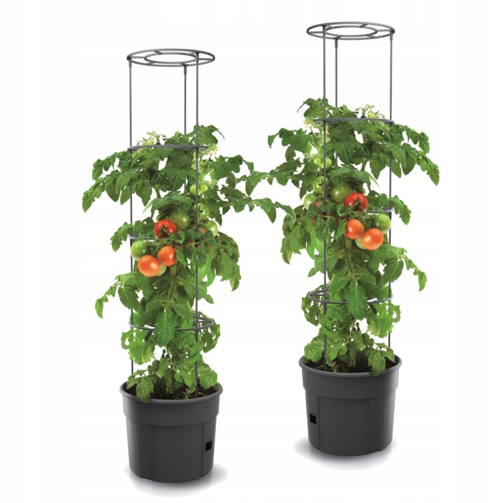 2x Květináč květináč secí stroj rajčata jahody okurky 39,2 cm