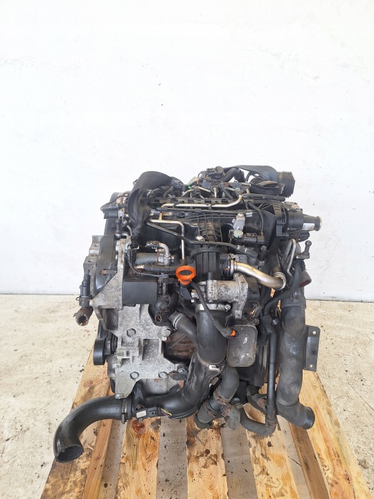 VOLKSWAGEN SEAT SKODA AUDI Motore 1.6 TDI 110KM CAY EURO 5