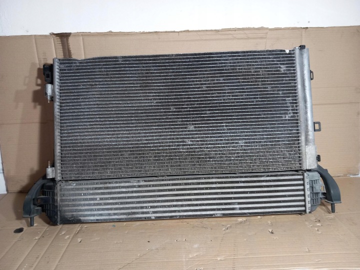 water cooler fan RENAULT LAGUNA III 2.0 DCI 214000003R 07-14