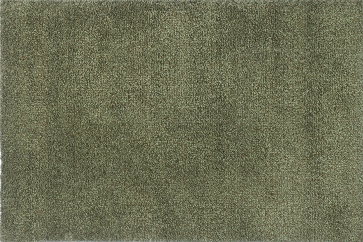 Vstupní rohožka|Turtle mat Sage Green 75x100 cm bavlna pro praní