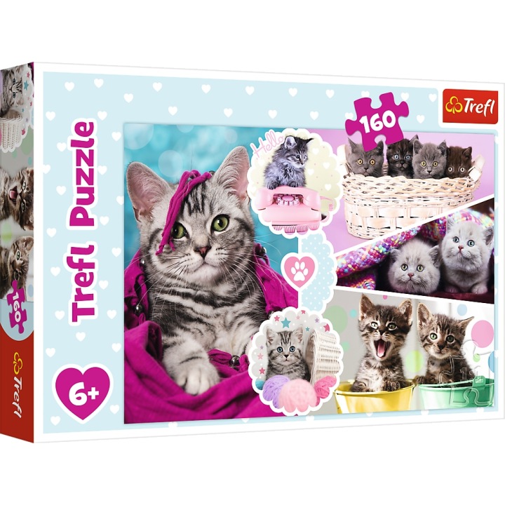 TREFL:пазли 160 ел.-чарівні котики