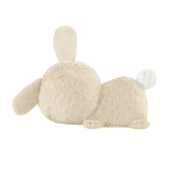 Fisher-Price Сплячий Зайчик М'яка іграшка з рухом Після Повернення Опис (пошкоджений) — фото 2