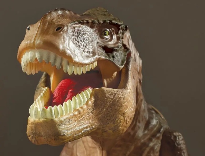 Проектор T-REX - вартовий кімнати — фото 4