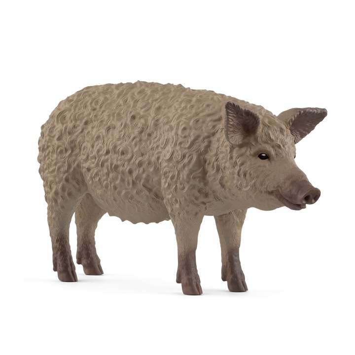 Schleich Мангалиця 14892